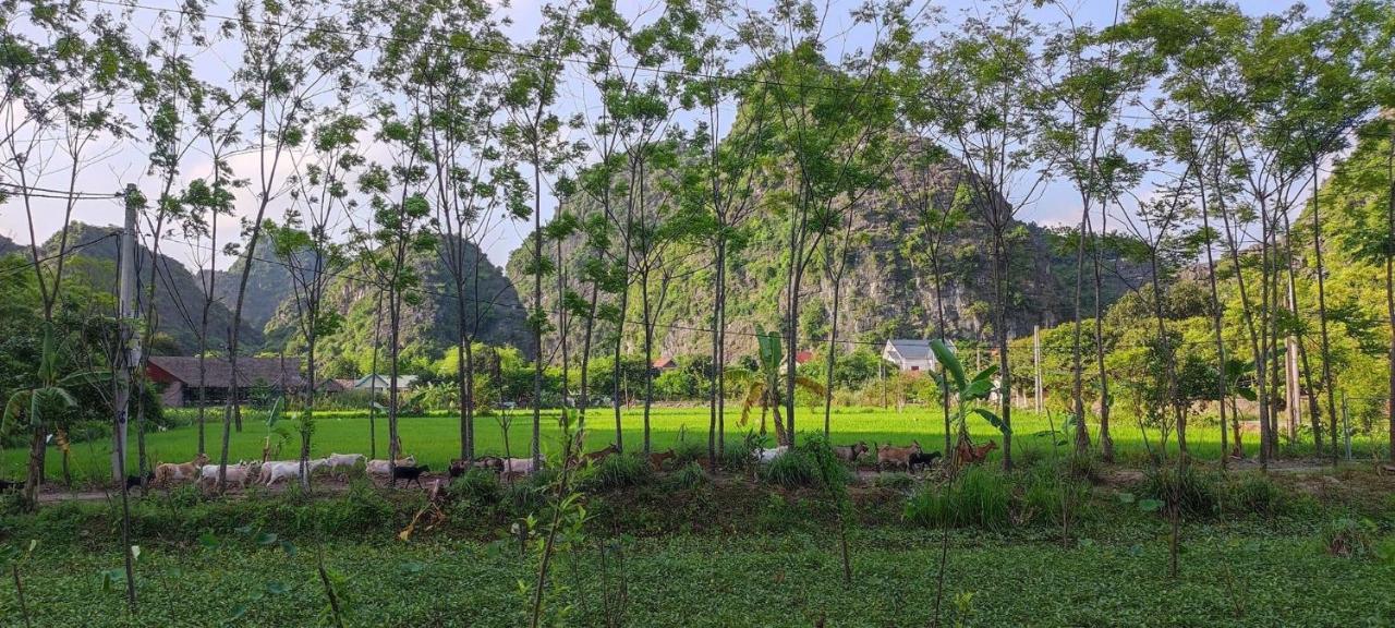 Tràng An Retreat Villa Ninh Bình Ngoại thất bức ảnh